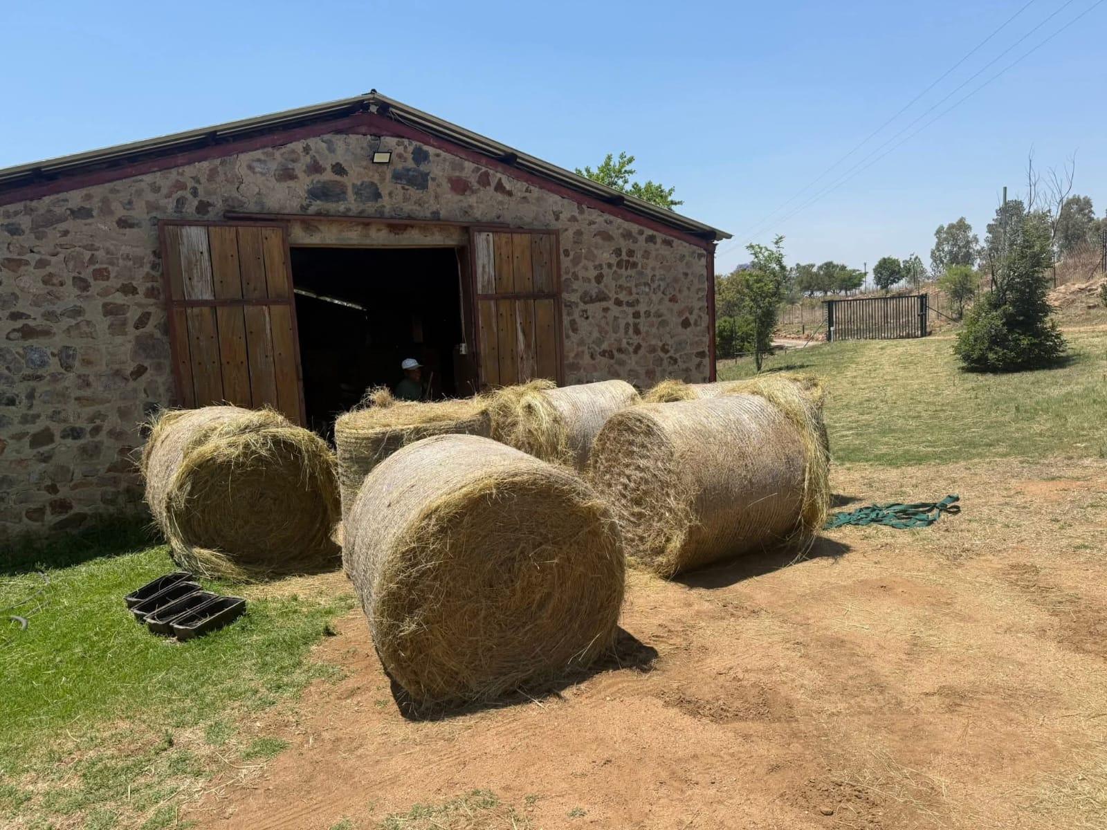 Close-up hay